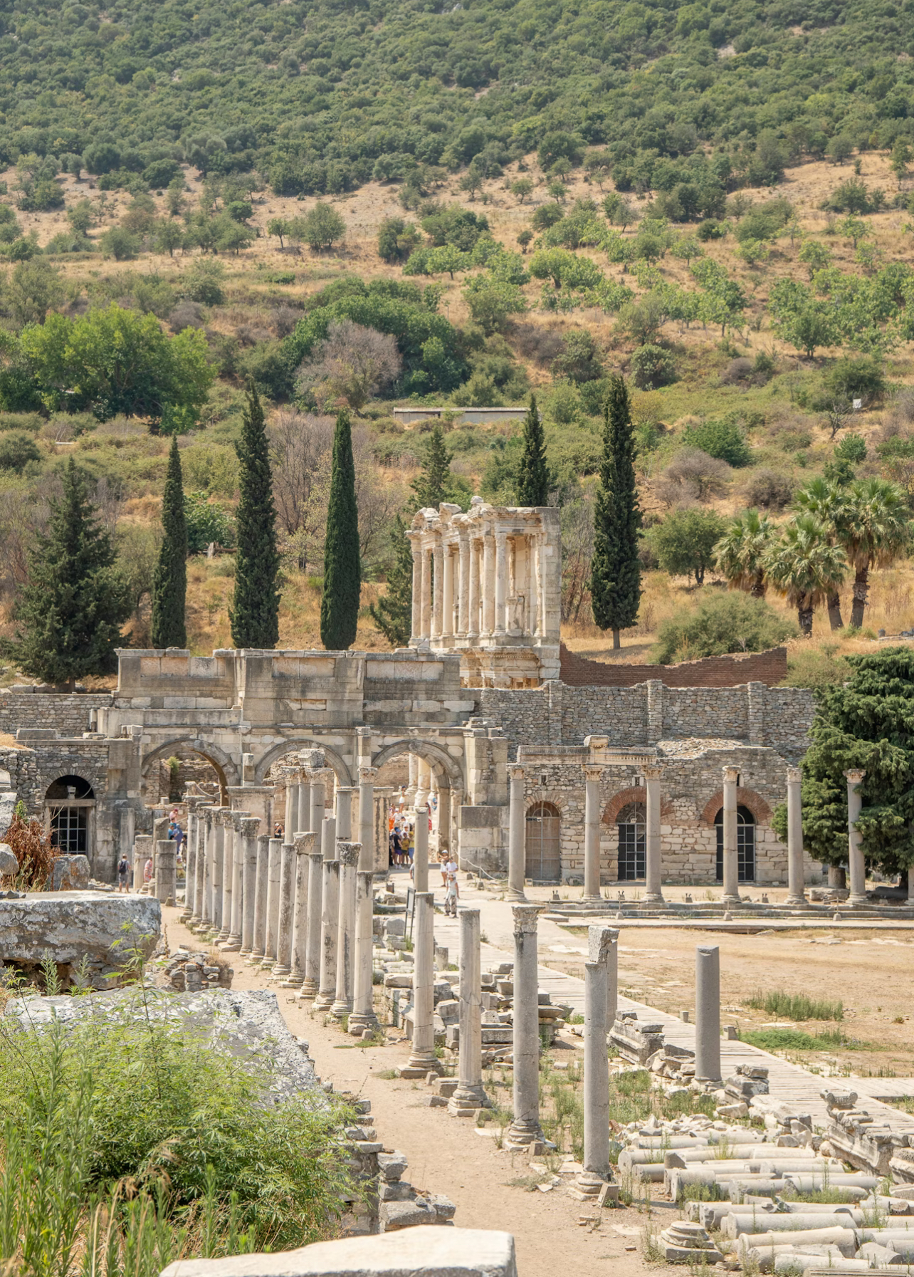 2F0E9E46-B40C-4F70-800F-31A46F8C81AC