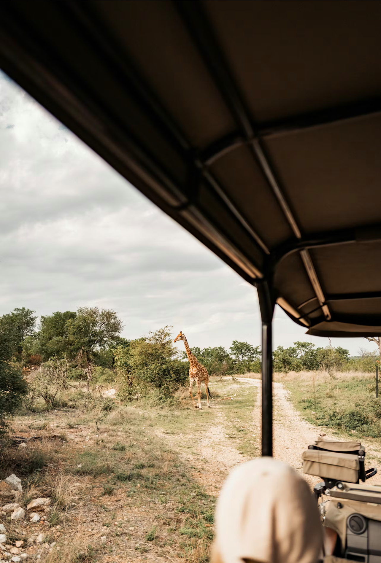 8F5BF913-DE27-4FC0-9524-2D0DD287EB42